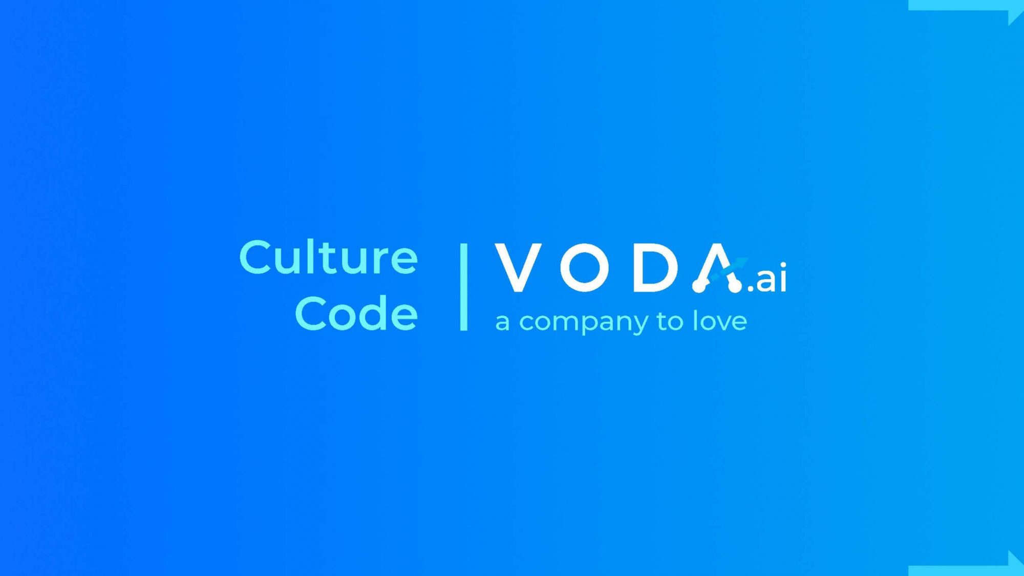 Culture Code VODA_Page_01