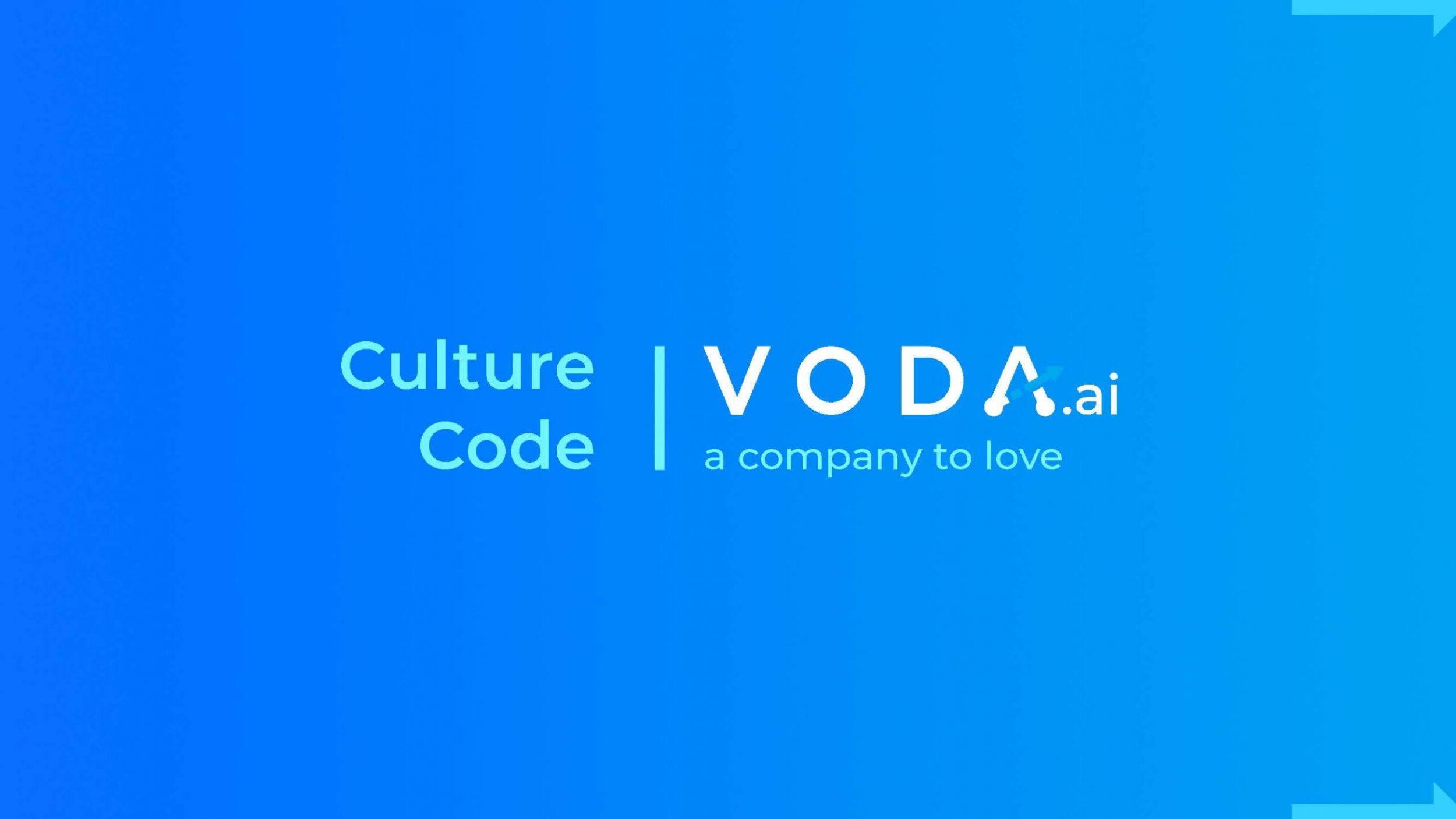 Culture Code VODA_Page_01